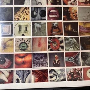Pearl Jam No Code Album 2-lp with inserts. Colored vinyl. New!